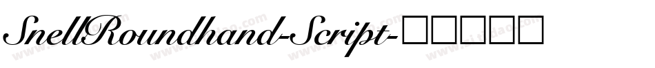 SnellRoundhand-Script字体转换