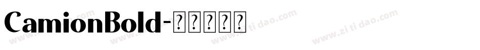 CamionBold字体转换
