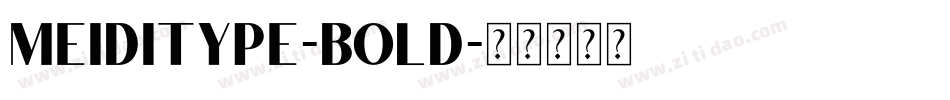 MEIDITYPE-BOLD字体转换
