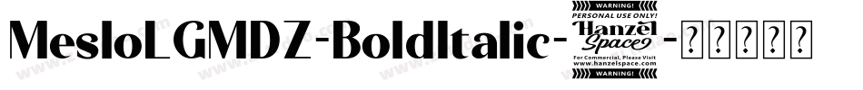 MesloLGMDZ-BoldItalic-6字体转换