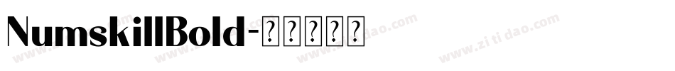 NumskillBold字体转换
