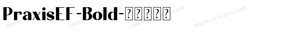 PraxisEF-Bold字体转换