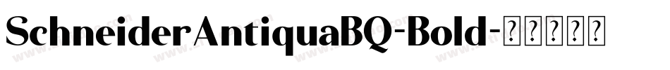 SchneiderAntiquaBQ-Bold字体转换