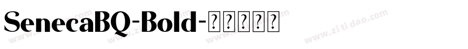 SenecaBQ-Bold字体转换