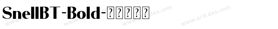 SnellBT-Bold字体转换