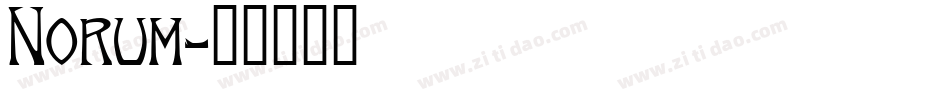 Norum字体转换