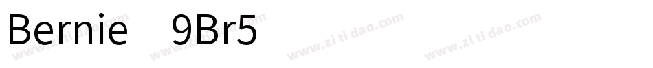Bernie-9Br5字体转换