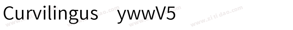 Curvilingus-ywwV5字体转换