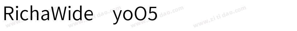 RichaWide-yoO5字体转换