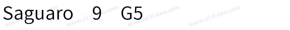 Saguaro-9xG5字体转换