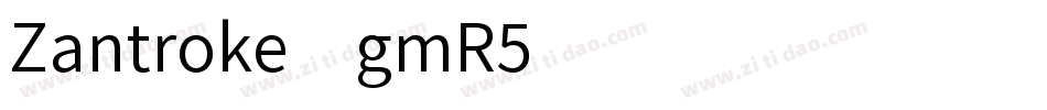 Zantroke-gmR5字体转换