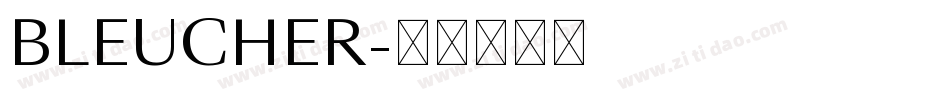 BLEUCHER字体转换