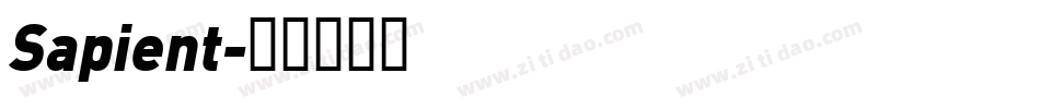 Sapient字体转换