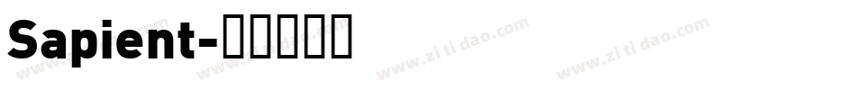 Sapient字体转换
