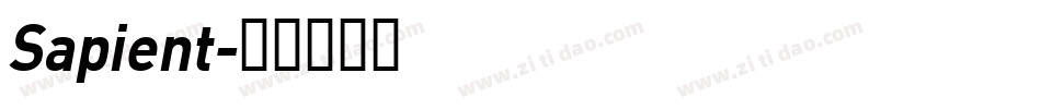 Sapient字体转换