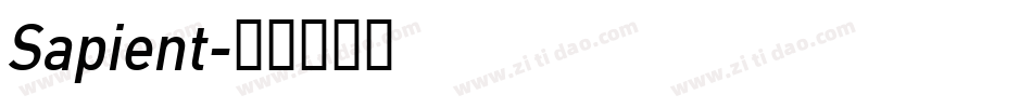Sapient字体转换