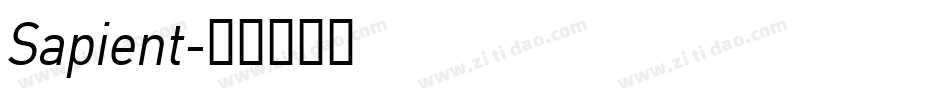 Sapient字体转换