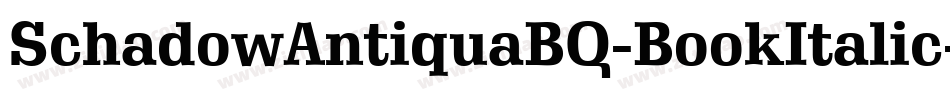 SchadowAntiquaBQ-BookItalic字体转换
