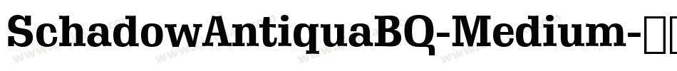 SchadowAntiquaBQ-Medium字体转换