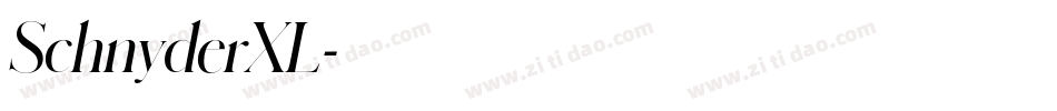 SchnyderXL字体转换