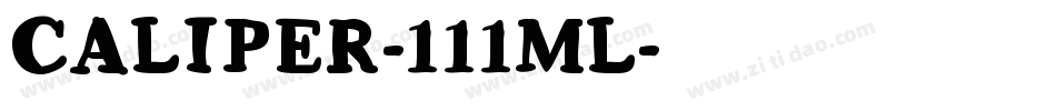 CALIPER-111ML字体转换