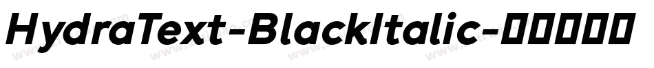 HydraText-BlackItalic字体转换