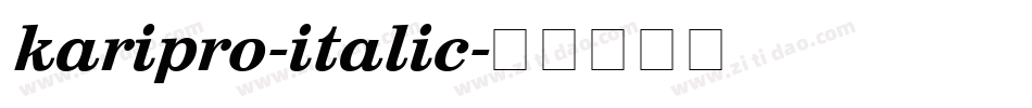 karipro-italic字体转换