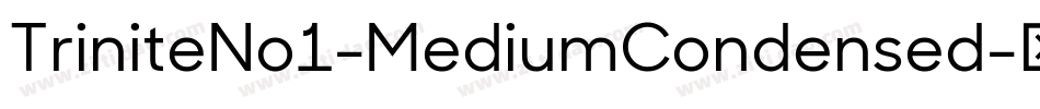 TriniteNo1-MediumCondensed字体转换