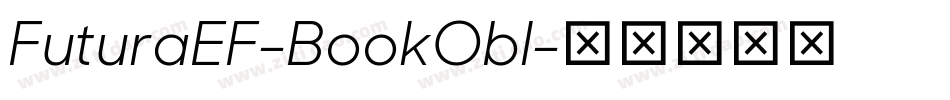 FuturaEF-BookObl字体转换