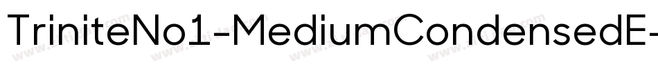 TriniteNo1-MediumCondensedE字体转换