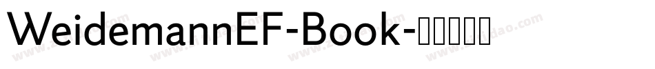 WeidemannEF-Book字体转换