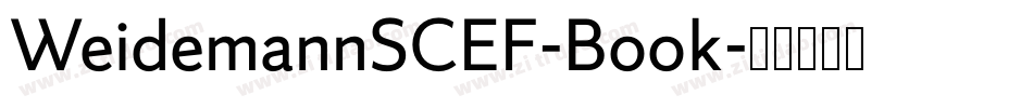 WeidemannSCEF-Book字体转换 WeidemannSCEF-Book字体转换
