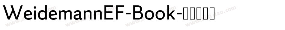 WeidemannEF-Book字体转换
