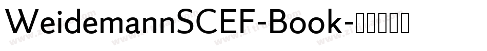 WeidemannSCEF-Book字体转换 WeidemannSCEF-Book字体转换