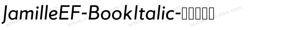 JamilleEF-BookItalic字体转换
