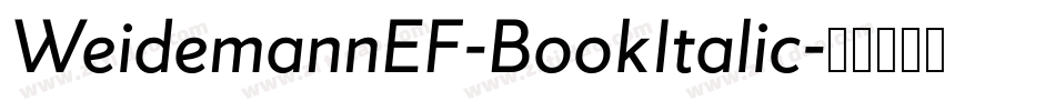 WeidemannEF-BookItalic字体转换