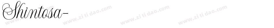 Shintosa字体转换