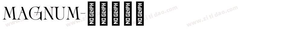 MAGNUM字体转换