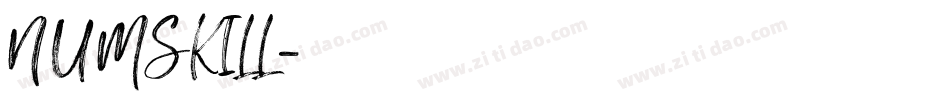 NUMSKILL字体转换