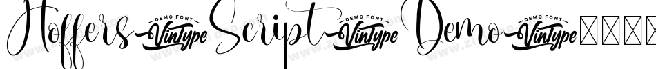 Hoffers-Script-Demo字体转换