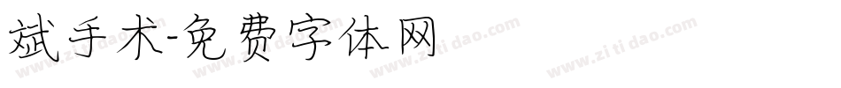 斌手术字体转换