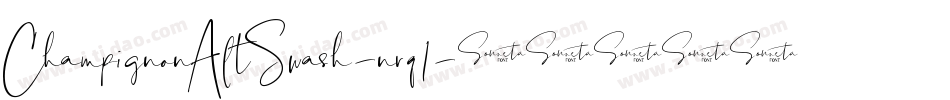 ChampignonAltSwash-nrq1字体转换