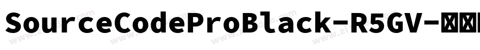 SourceCodeProBlack-R5GV字体转换