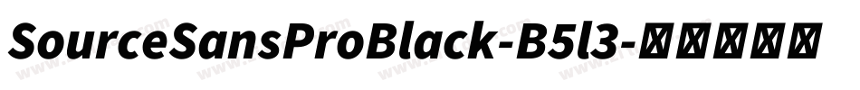 SourceSansProBlack-B5l3字体转换