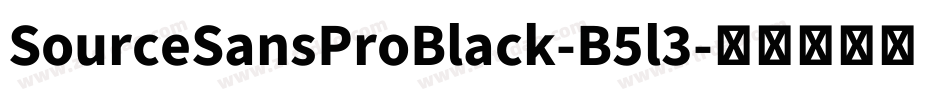 SourceSansProBlack-B5l3字体转换