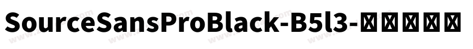 SourceSansProBlack-B5l3字体转换