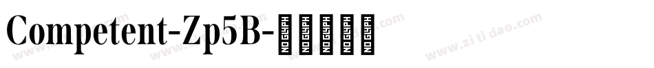 Competent-Zp5B字体转换