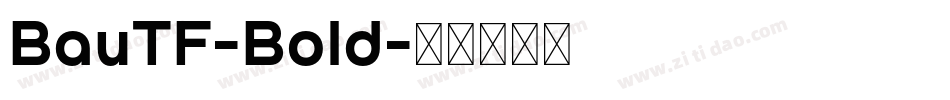 BauTF-Bold字体转换
