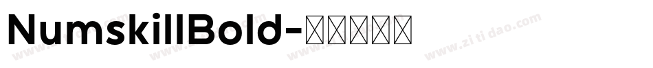 NumskillBold字体转换