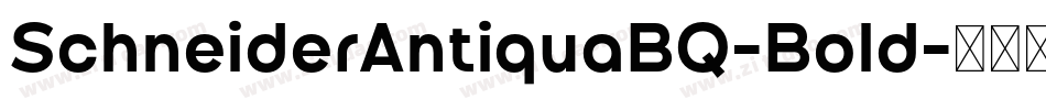 SchneiderAntiquaBQ-Bold字体转换